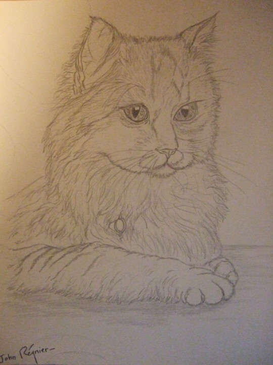 Portrait de chat 图画, 11.8x9.5 in