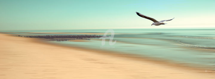 Photography titled "10822701.jpg" by Hannes Cmarits Photography, Original Artwork