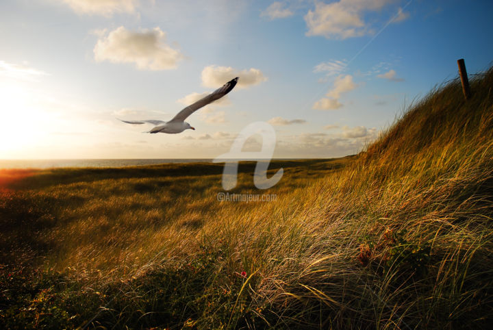 Photography titled "11448520.jpg" by Hannes Cmarits Photography, Original Artwork