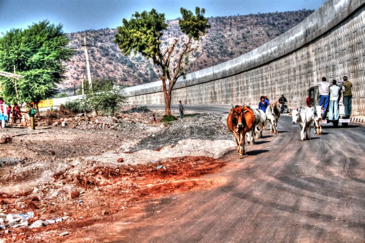 Photography titled "india" by Laseptieme Couleur, Original Artwork