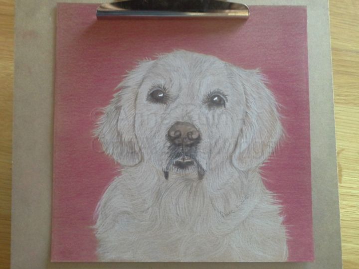 Drawing titled "no-24-noa.jpg" by Oneart Drawings, Original Artwork