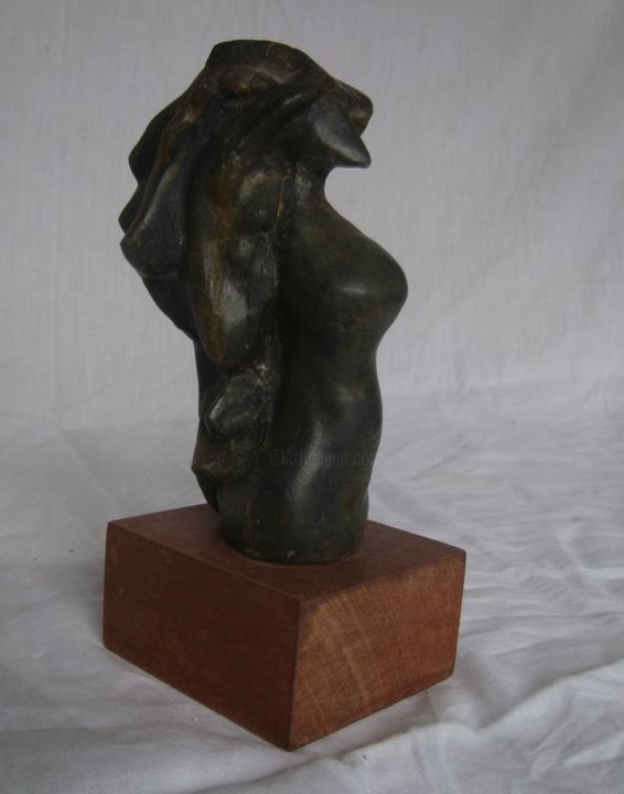 Sculptuur getiteld "mulher.jpg" door Jako Fernández J.Isaac P.Sánchez, Origineel Kunstwerk, Hars