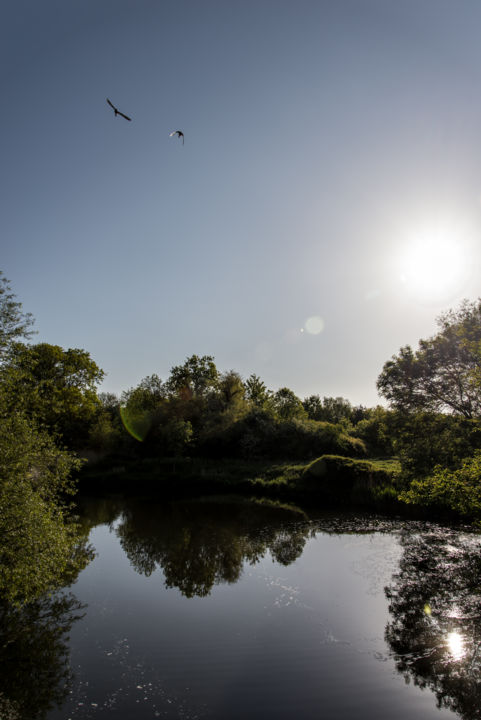 Painting titled "water-reflect.jpg" by Rudi Photography, Original Artwork