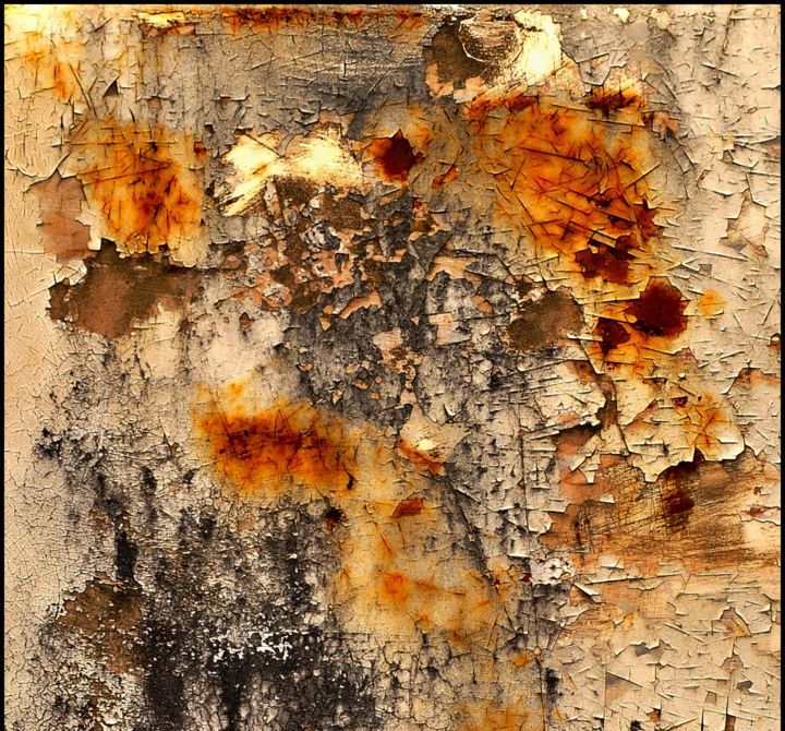 Photography titled "Travesty Of Justice" by Jacqueline Fitzgerald Ruiz, Original Artwork