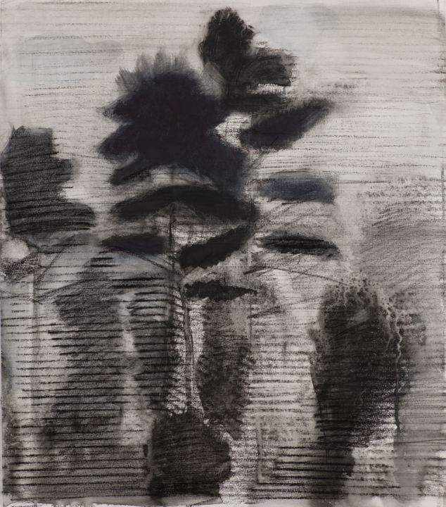 图画 标题为“Drawing II” 由Irena Luse, 原创艺术品, 石墨