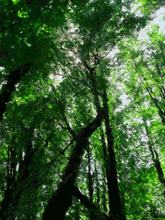 "Mystic Forest 5" başlıklı Dijital Sanat Ken Grzesik tarafından, Orijinal sanat, Dijital Resim