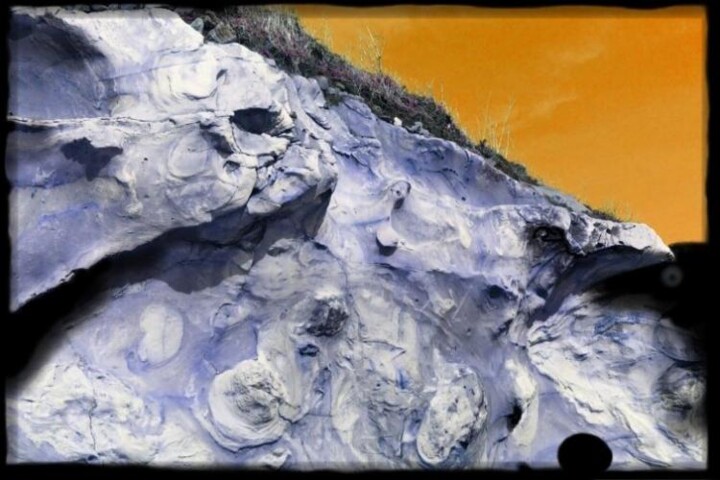 Photography titled "edge of the forest" by Eric Bragg, Original Artwork