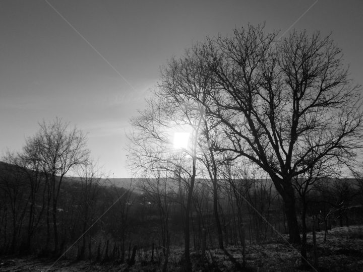 Photography titled "White night" by Ana Mishka, Original Artwork