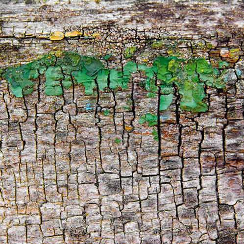 Peinture intitulée "(dé)composition en…" par Claude Guillemet, Œuvre d'art originale, Huile