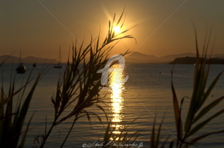 Photography titled "illumination" by Shali Photographie, Original Artwork