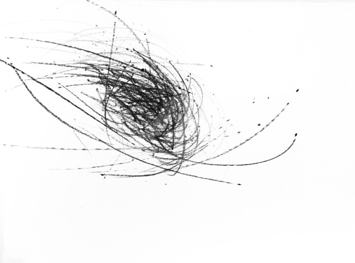 Drawing titled "Nid 24,  23 x 31 cm…" by Gisela Schattenburg, Original Artwork, Charcoal