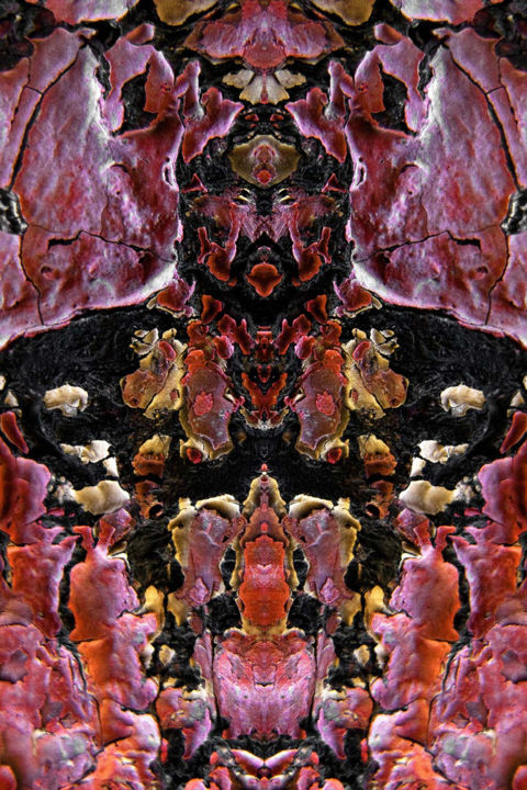 Photographie intitulée "Alien" par Claude Guillemet, Œuvre d'art originale, Photographie numérique