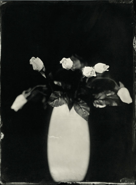 Fotografia zatytułowany „Flowers, wet plate…” autorstwa Joanna Borowiec, Oryginalna praca