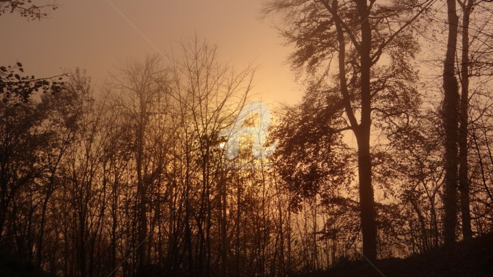 Photography titled "Sun hiding behind t…" by Ravi Shankar Das, Original Artwork