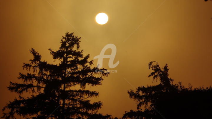 Photography titled "Nature" by Ravi Shankar Das, Original Artwork