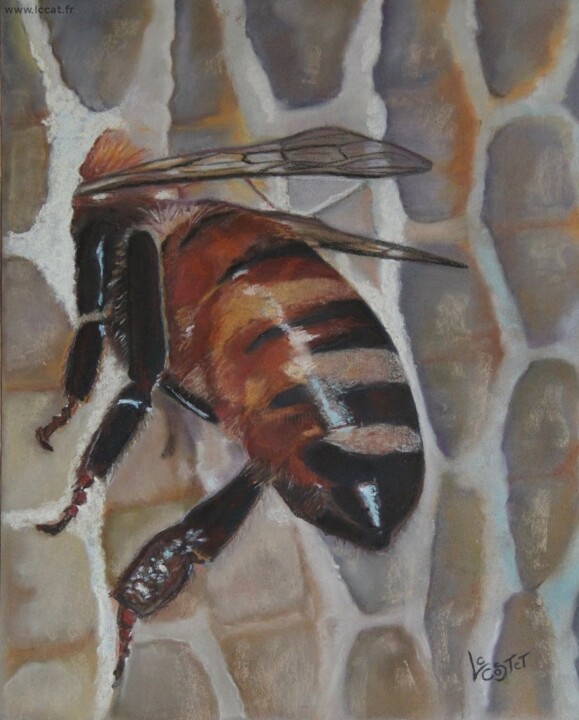 Peinture intitulée "Miel" par Catherine Costet (Lccat), Œuvre d'art originale, Pastel