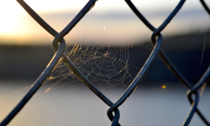 Photography titled "De l'autre côté" by Marie Cappuccia Photographies, Original Artwork