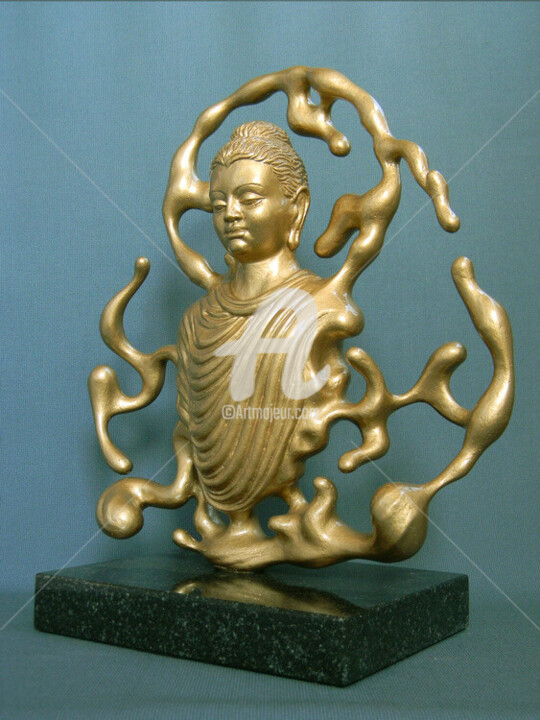其他意见 2