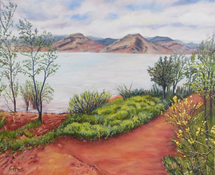 Peinture intitulée "LE SALAGOU" par Chantal Martin (chm), Œuvre d'art originale, Huile