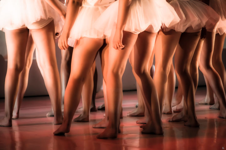 Photography titled "Roses Gambettes" by J.H.M, Original Artwork