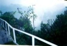 Photography titled "Timber Trail" by Anita Sanyal, Original Artwork