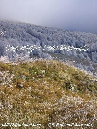 Photography titled "Givre au Monal en H…" by Emmanuelle Scarnato Belbenoit, Original Artwork