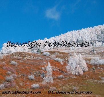 Photography titled "givre au Monal en H…" by Emmanuelle Scarnato Belbenoit, Original Artwork