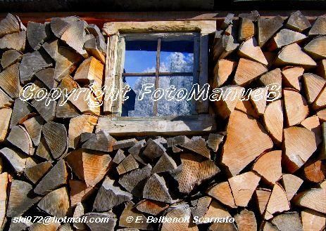 Photography titled "bois et givre au Mo…" by Emmanuelle Scarnato Belbenoit, Original Artwork
