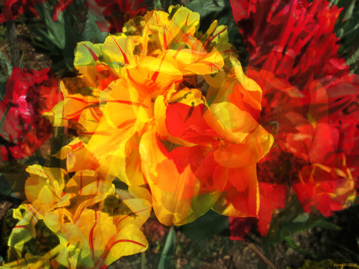 Digital Arts titled "Spring 1" by Ken Grzesik, Original Artwork, Collages
