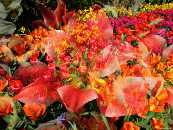 Digital Arts titled "Spring 2" by Ken Grzesik, Original Artwork, Collages