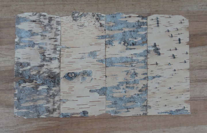 Collages intitulée "Ecorces fibrées 5" par Martine Capdeville-Lacomme, Œuvre d'art originale