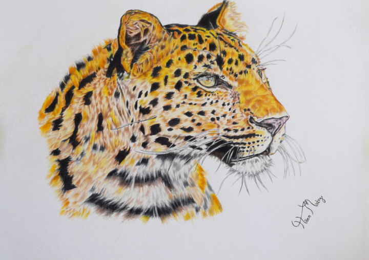 leopard drawing 图画, 12x17 in