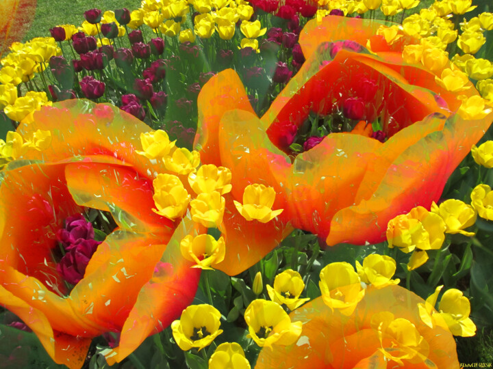 Digital Arts titled "Spring 9" by Ken Grzesik, Original Artwork, Digital Painting
