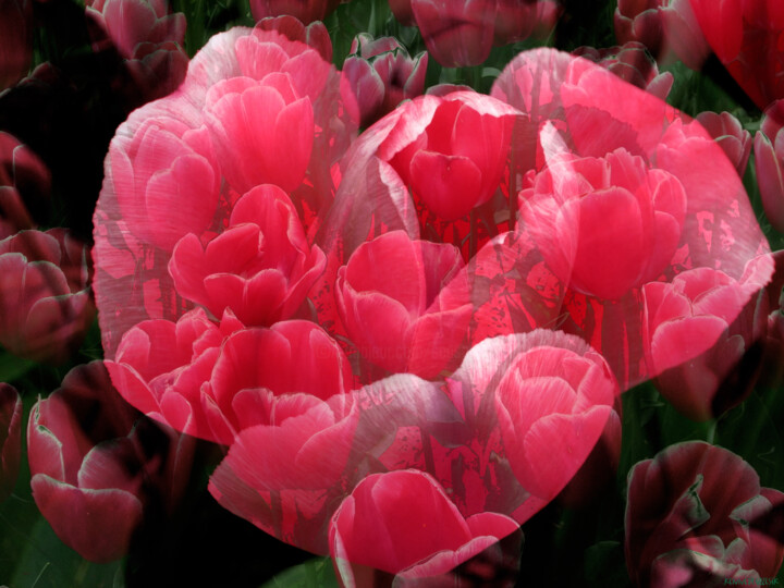 Digital Arts titled "Spring 10" by Ken Grzesik, Original Artwork, Digital Painting