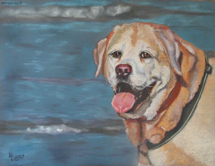 Peinture intitulée "Syrus" par Catherine Costet (Lccat), Œuvre d'art originale, Pastel