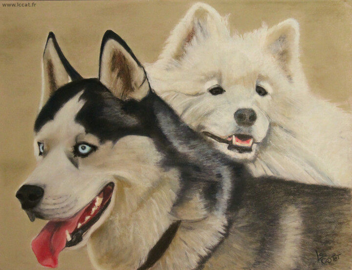 Peinture intitulée "Les nordiques" par Catherine Costet (Lccat), Œuvre d'art originale, Pastel
