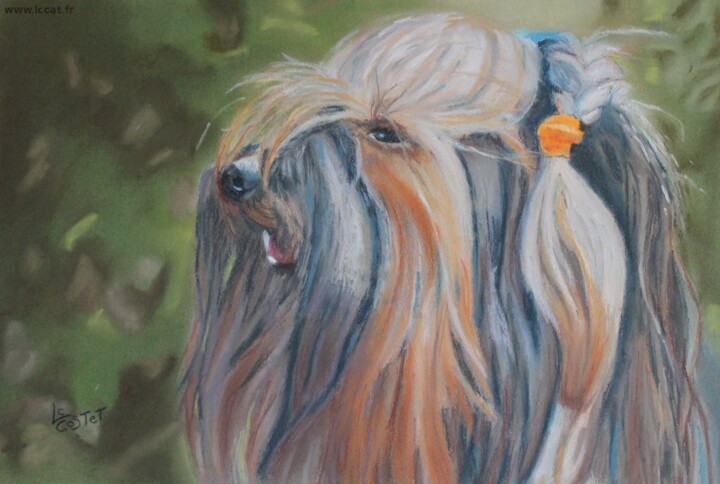 Peinture intitulée "Octave" par Catherine Costet (Lccat), Œuvre d'art originale, Pastel