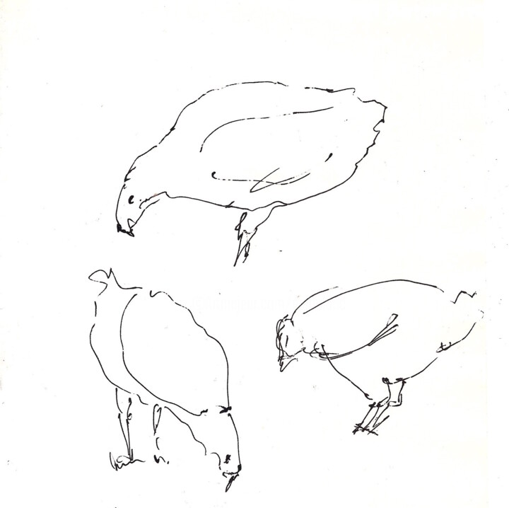 Poules III 图画, 6.3x6.3 in
