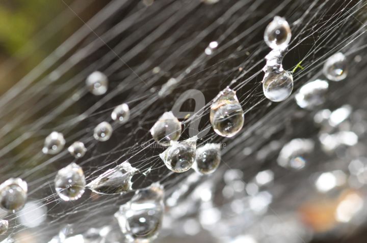 Photography titled "perles de pluie" by Sylvie Léandre, Original Artwork