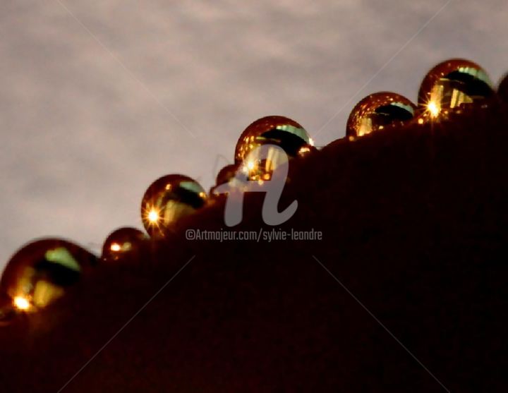 Photography titled "golden drops" by Sylvie Léandre, Original Artwork
