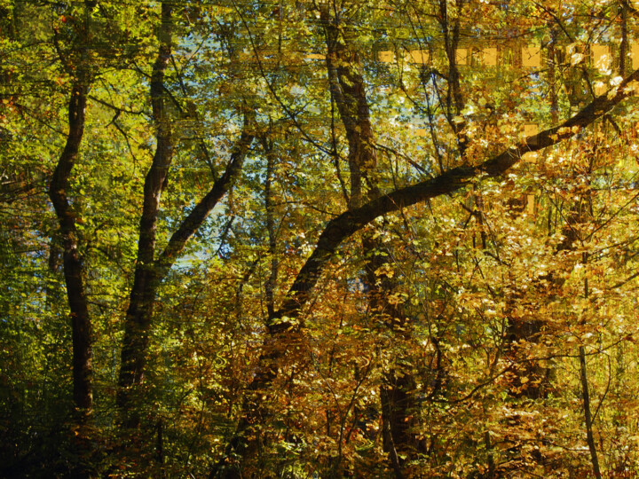 Digital Arts titled "October Transitions…" by Ken Grzesik, Original Artwork, Digital Painting