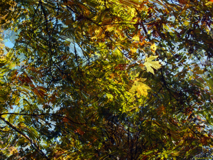Digital Arts titled "October Transitions…" by Ken Grzesik, Original Artwork, Digital Painting