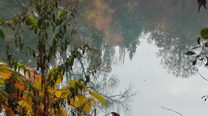 Photography titled "img-20161023-114635…" by Bea Margot, Original Artwork