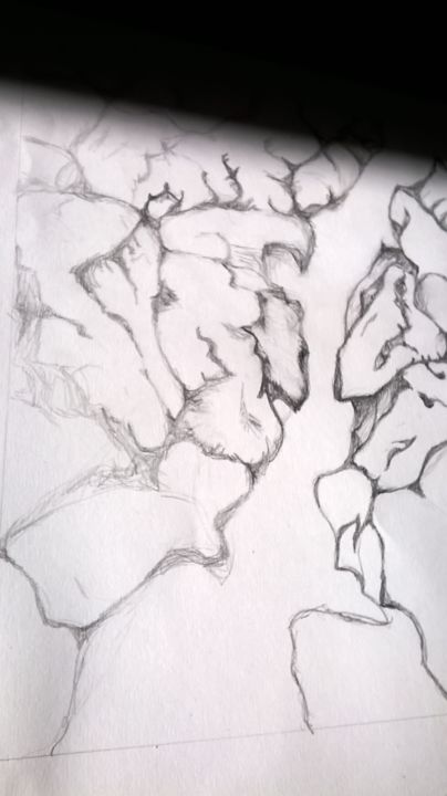 Additional views 2