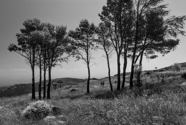 Fotografie getiteld "L'lanca Pina" door Ievgen Gubareni, Origineel Kunstwerk