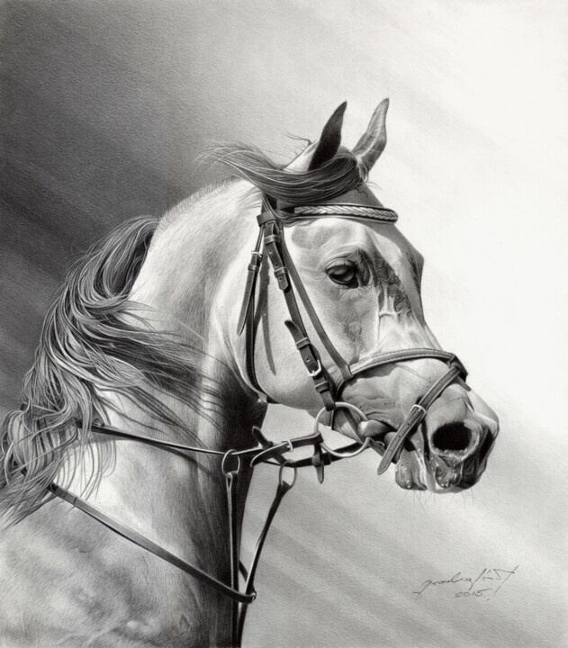 图画,  15.8x13.8 in 