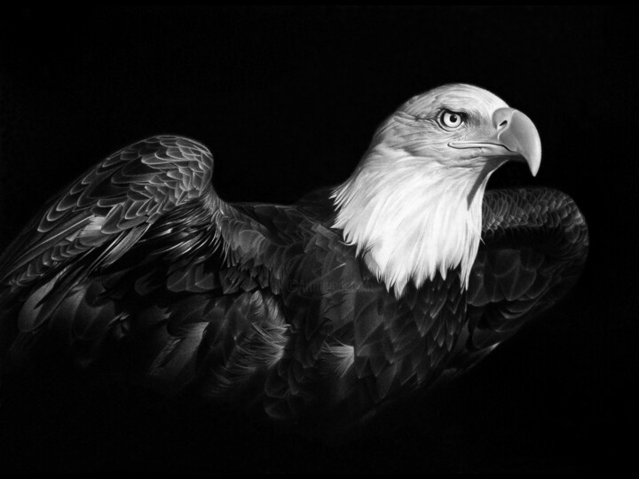 AMERICAN PRIDE Drawing, 11.8x16.5 in
