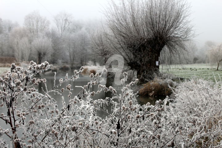 Photographie intitulée "17.jpg" par Didier Duclos, Œuvre d'art originale