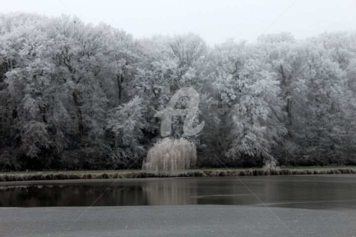 Photographie intitulée "26.jpg" par Didier Duclos, Œuvre d'art originale
