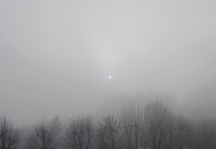 摄影 标题为“Soleil d'Hiver et a…” 由Alexandre Pons, 原创艺术品, 数码摄影